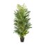 Kunstpflanze Arecapalme, Farbe grün, inkl. Topf, Höhe ca. 220 cm