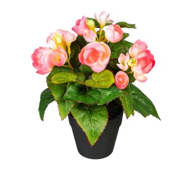 Kunstpflanze Begonienbusch, 2er Set, Farbe rosa, inkl....