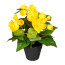 Kunstpflanze Begonienbusch, 2er Set, Farbe gelb, inkl. Topf, Höhe ca. 24 cm