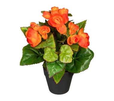 Kunstpflanze Begonienbusch, 2er Set, Farbe orange, inkl....