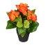 Kunstpflanze Begonienbusch, 2er Set, Farbe orange, inkl. Topf, Höhe ca. 24 cm