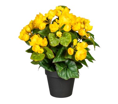 Kunstpflanze Begonienbusch, Farbe gelb, inkl. Topf,...