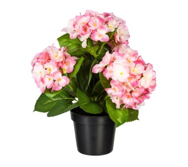 Kunstpflanze Hortensienbusch, Farbe rosa, inkl. Topf,...