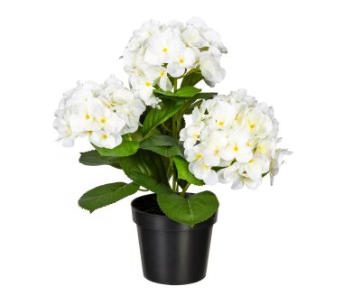 Kunstpflanze Hortensienbusch, Farbe weiß, inkl....