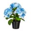 Kunstpflanze Hortensienbusch, Farbe blau, inkl. Topf, Höhe ca. 32 cm