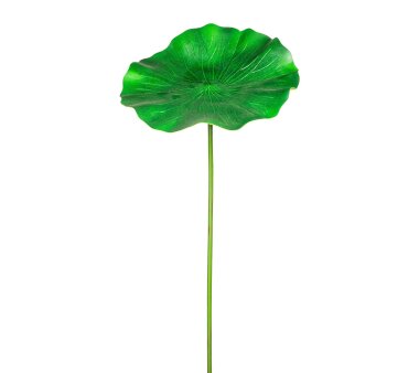 Kunstpflanze Lotusblatt, Farbe grün, 47x100 cm