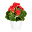 Kunstpflanze Minigeranie, 2er Set, Farbe rot, inkl. Keramiktopf, Höhe ca. 24 cm