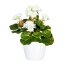 Kunstpflanze Minigeranie, 2er Set, Farbe weiß, inkl. Keramiktopf, Höhe ca. 24 cm