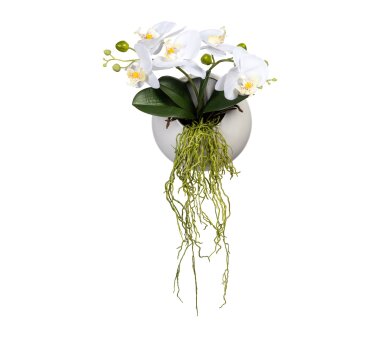 Kunstpflanze Phalaenopsis, Farbe weiß, inkl....