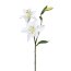 Kunstblume Lilie, 5er Set, Farbe weiß, Höhe ca. 60 cm