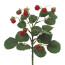 Kunstpflanze Himbeerenbusch, 4er Set, Farbe rot-grün, Höhe ca. 29 cm