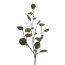 Kunstpflanze Eukalypthuszweig, 6er Set, Farbe grün, Höhe ca. 73 cm