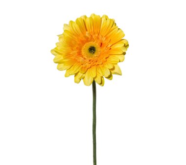 Kunstblume Gerbera, 7er Set, Farbe gelb, Höhe ca. 63 cm