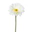 Kunstblume Gerbera, 7er Set, Farbe weiß, Höhe ca. 63 cm