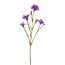 Kunstblume Lichtnelkenzweig, 5er Set, Farbe lila, Höhe ca. 62 cm