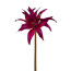 Kunstblume Amaryllis, 3er Set, Farbe purple, Höhe ca. 52 cm