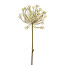 Kunstblume Anethum, 4er Set, Farbe weiß, Höhe ca. 72 cm