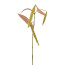 Kunstpflanze Fuchsschwanzzweig, 5er Set, Farbe lila, Höhe ca. 82 cm