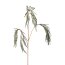 Kunstpflanze Reiszweig, 2er Set, Farbe grün-gold, Höhe ca. 100 cm