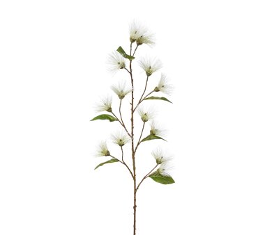 Kunstpflanze Calistemonzweig, Farbe weiß, Höhe...