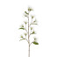 Kunstpflanze Calistemonzweig, Farbe weiß, Höhe ca. 144 cm