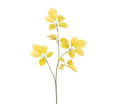 Kunstpflanze Kastanienzweig, 4er Set, Farbe gelb,...