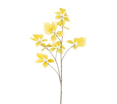 Kunstpflanze Kastanienzweig, 2er Set, Farbe gelb,...