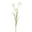 Kunstblume Märzenbecher, 5er Set, Farbe weiß, Höhe ca. 78 cm