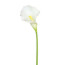 Kunstblume Calla, 4er Set, Farbe weiß, Höhe ca. 66 cm