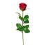 Kunstblume Gartenrose, 6er Set, Farbe rot, Höhe ca. 69 cm