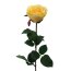 Kunstblume Gartenrose, 6er Set, Farbe hellgelb, Höhe ca. 69 cm