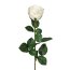 Kunstblume Gartenrose, 6er Set, Farbe weiß, Höhe ca. 69 cm