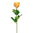 Kunstblume Gartenrose, 6er Set, Farbe apricot, Höhe ca. 69 cm