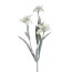 Kunstblume Edelweiss, 5er Set, Farbe weiß, Höhe ca. 30 cm