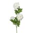 Kunstpflanze Schneeballzweig, 4er Set, Farbe creme, Höhe ca. 61 cm