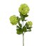 Kunstpflanze Schneeballzweig, 4er Set, Farbe grün, Höhe ca. 61 cm