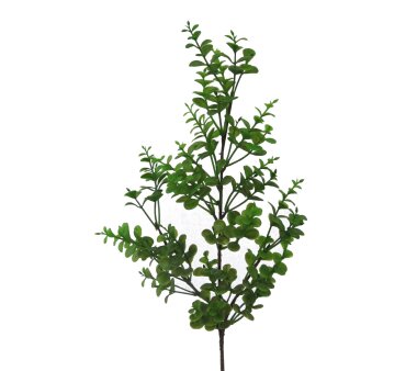 Kunstpflanze Eukalypthuszweig, 6er Set, Farbe grün,...
