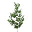 Kunstpflanze Eukalypthuszweig, 6er Set, Farbe grün, Höhe ca. 59 cm