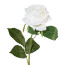 Kunstblume Rose, 6er Set, Farbe weiß, Höhe ca. 53 cm