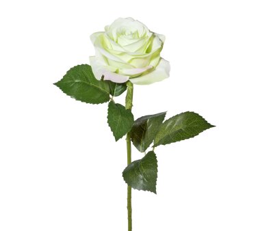 Kunstblume Rose, 6er Set, Farbe weiß-grün,...