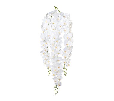 Kunstpflanze Phalenopsisranke, Farbe weiß,...