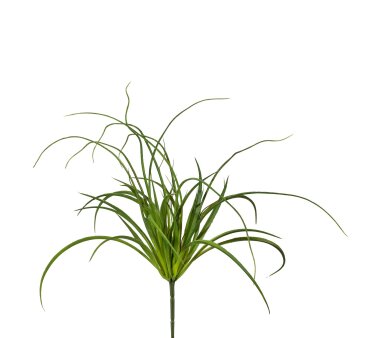 Kunstpflanze Seegrasbusch, 5er Set, Farbe grün,...
