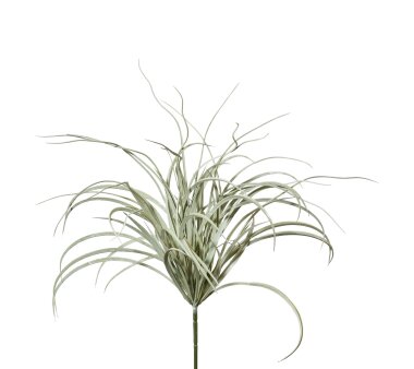 Kunstpflanze Seegrasbusch, 3er Set, Farbe grau, Höhe...
