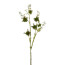 Kunstpflanze Flechtenzweig, Farbe grün, Höhe ca. 107 cm