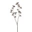 Kunstpflanze Anethumzweig, 3er Set, Farbe braun, Höhe ca. 64 cm