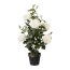 Kunstpflanze Rosenstock, Farbe weiß, inkl. Topf, Höhe ca. 90 cm