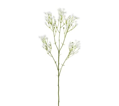 Kunstpflanze Miniklettenzweig, 5er Set, Farbe weiß,...