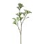 Kunstpflanze Geweihfarnzweig, 3er Set, Farbe grün, Höhe ca. 80 cm