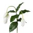 Kunstblume Medinilla, Farbe weiß, Höhe ca. 78 cm