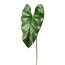 Kunstpflanze Anthurienblatt, 4er Set, Farbe grün, Höhe ca. 70 cm